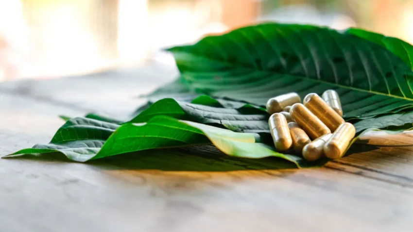 Kratom and the FDA: Important Information Here