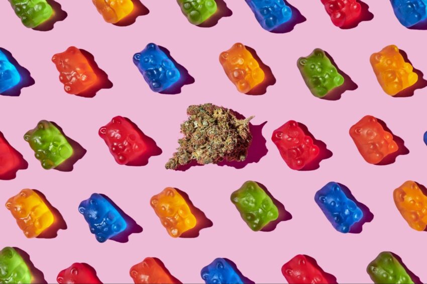 Understanding the Rising Popularity of Unique Cannabis Varieties